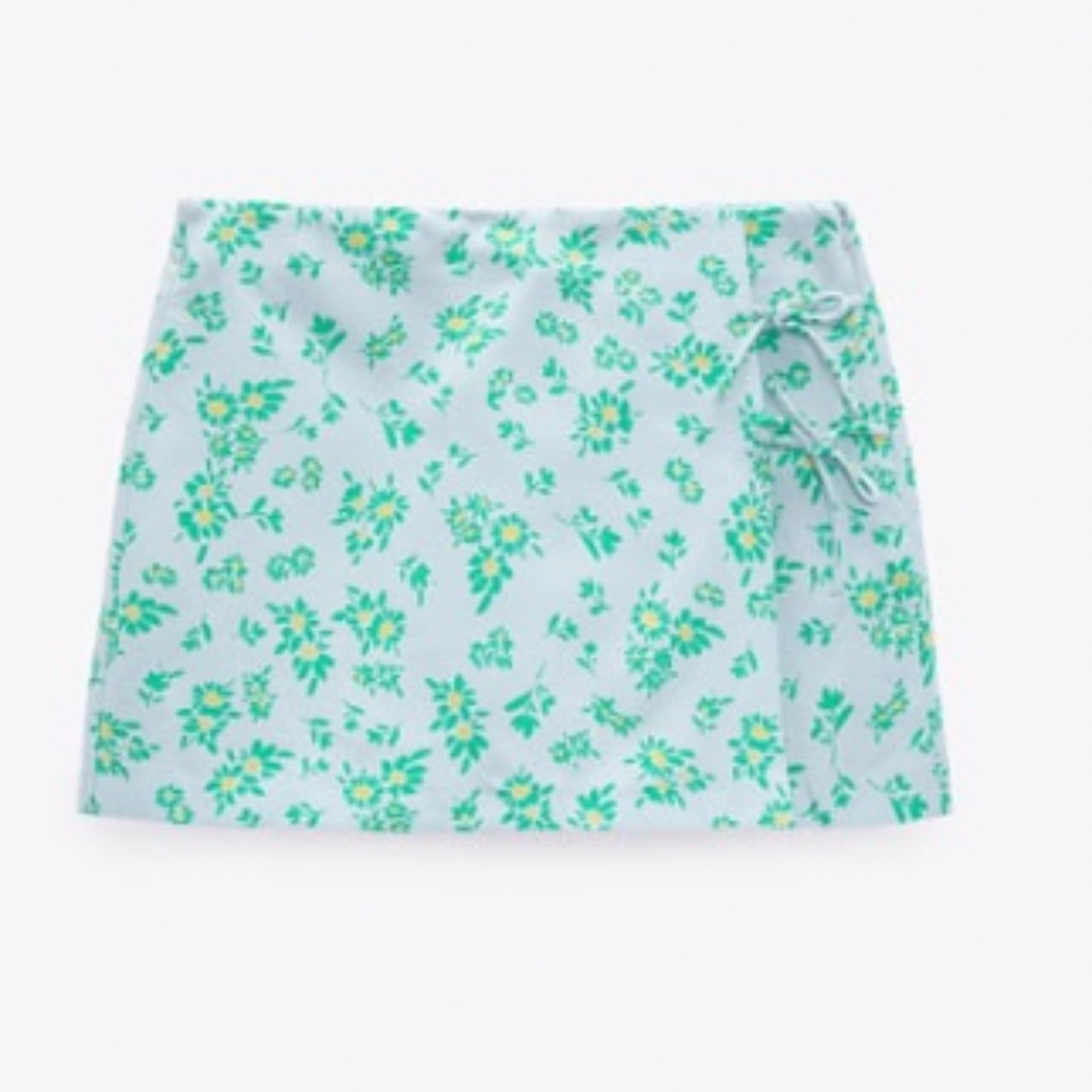 Zara Skirt